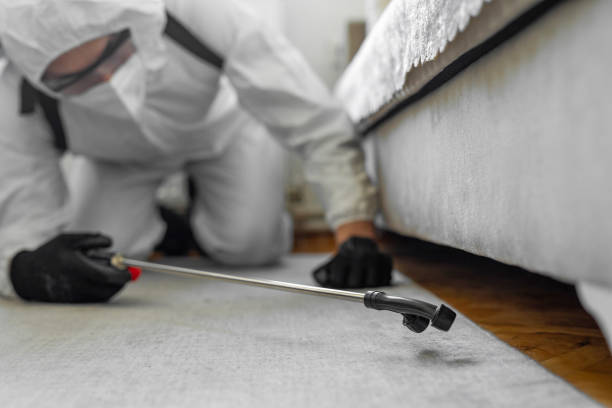 Professional Mosquito Control technician working in Limon, CO