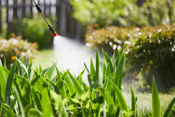 24/7 Emergency Mosquito Control experts in Limon, CO